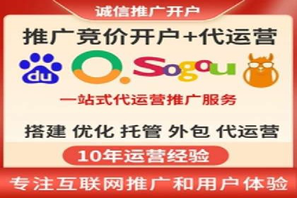 SEM代理操作技巧：成功案例揭秘
