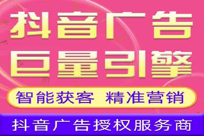 竞价广告与自然搜索的结合策略：XX网站的案例分析